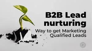 B2B Lead nurturing - Way to get Marketing Qualified Leads