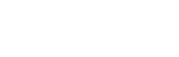 Vereigen Media - Horizontal logo